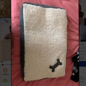 Dog/puppy bed! Perfect for a new pup!